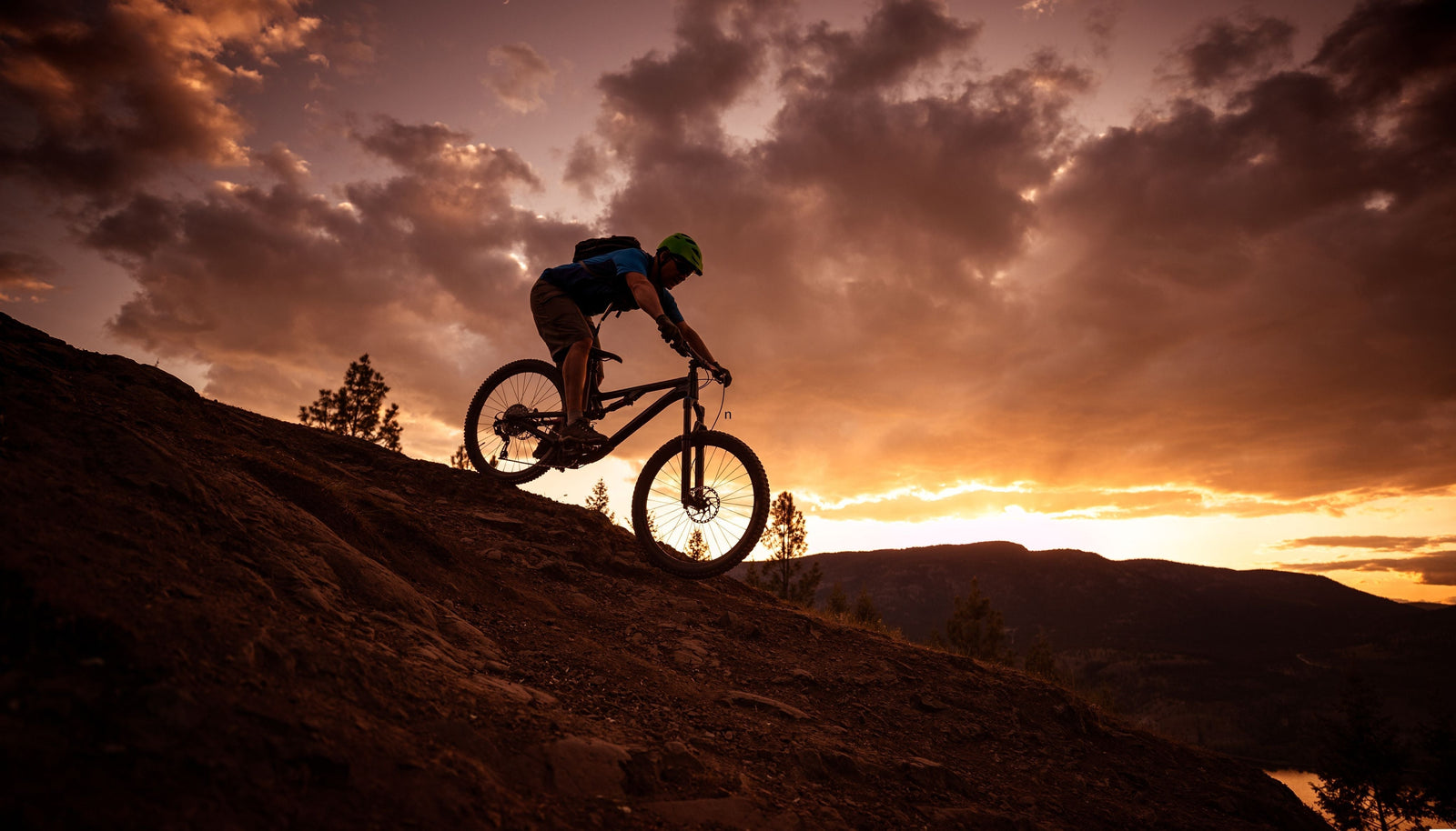 Wheel Talk: Which Type of Mountain Bike Is Right for You?