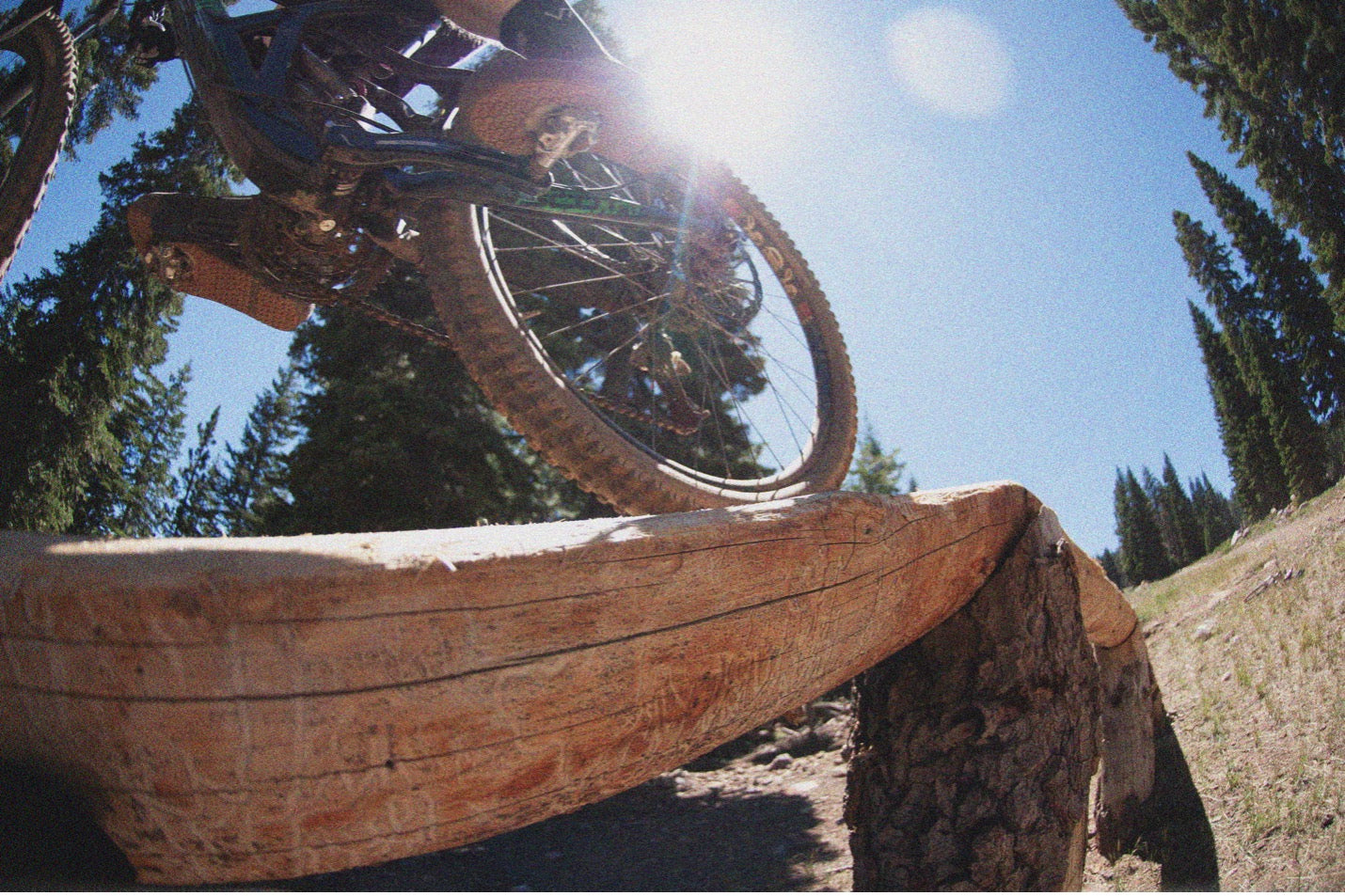 Image with text section