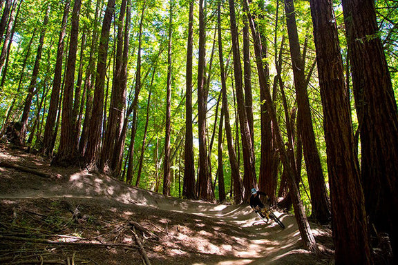 Rider approaching camera on trail wearing Marco Black clipless mtb shoes with high-traction rubber outsole for off-road cycling

